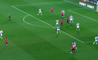 动画 (409).gif